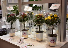 The Funtasticks of Histil. 